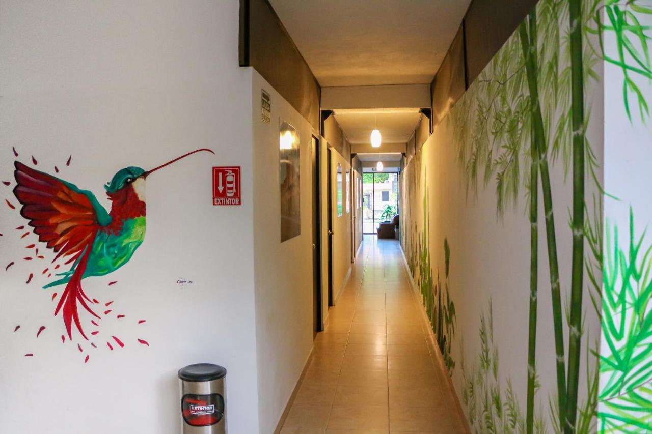 ואיאדוליד Hostal Gayser מראה חיצוני תמונה