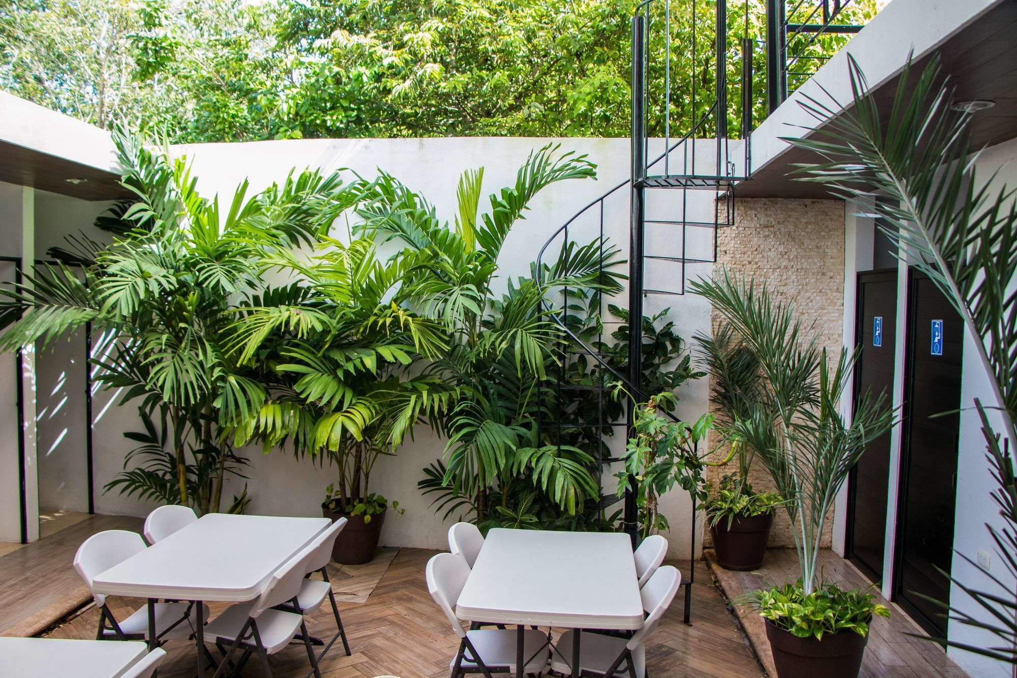 ואיאדוליד Hostal Gayser מראה חיצוני תמונה